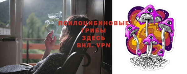 гашик Аркадак