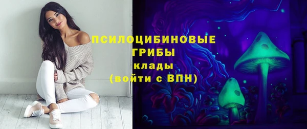 прущий лед Арсеньев