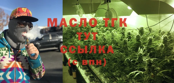 гашик Аркадак
