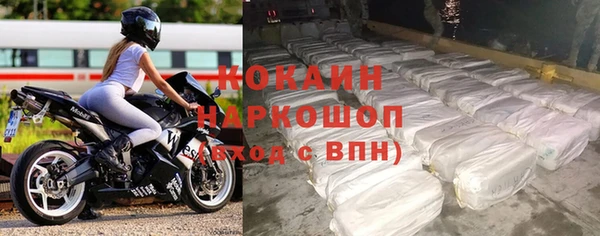 гашик Аркадак